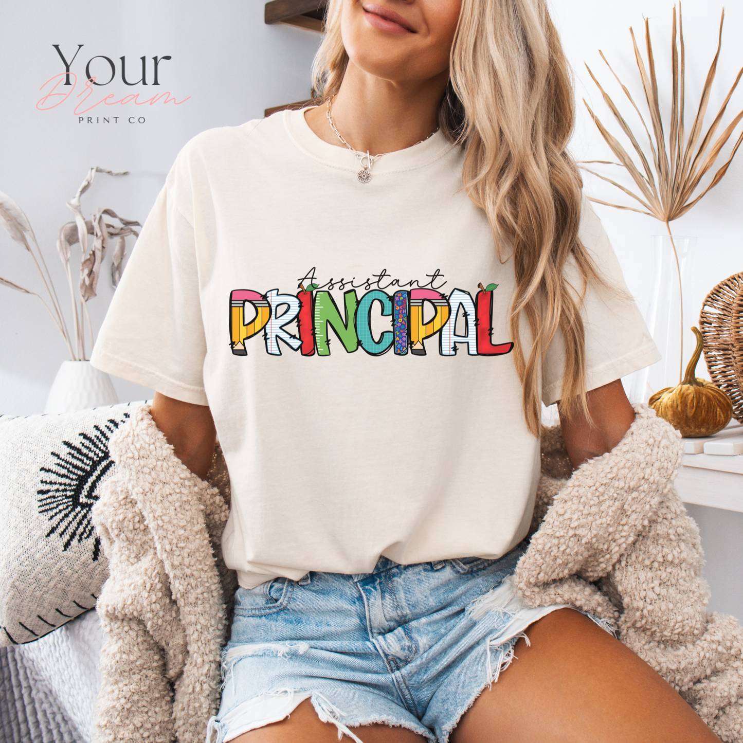 Principal T-shirt, Principal Shirt, Teacher's Day Gift