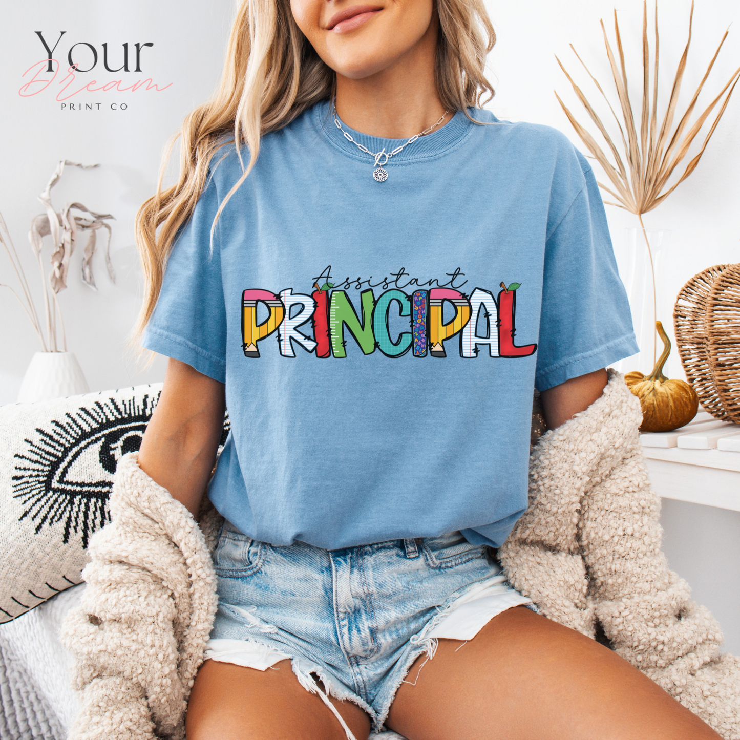 Principal T-shirt, Principal Shirt, Teacher's Day Gift