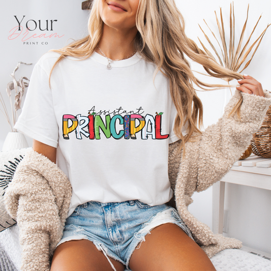Assistant Principal T-shirt, Principal Shirt, Teacher's Day Gift,Assistant Principal Gift, Principal Shirt, Best Teacher Shirt, Back to School Shirt