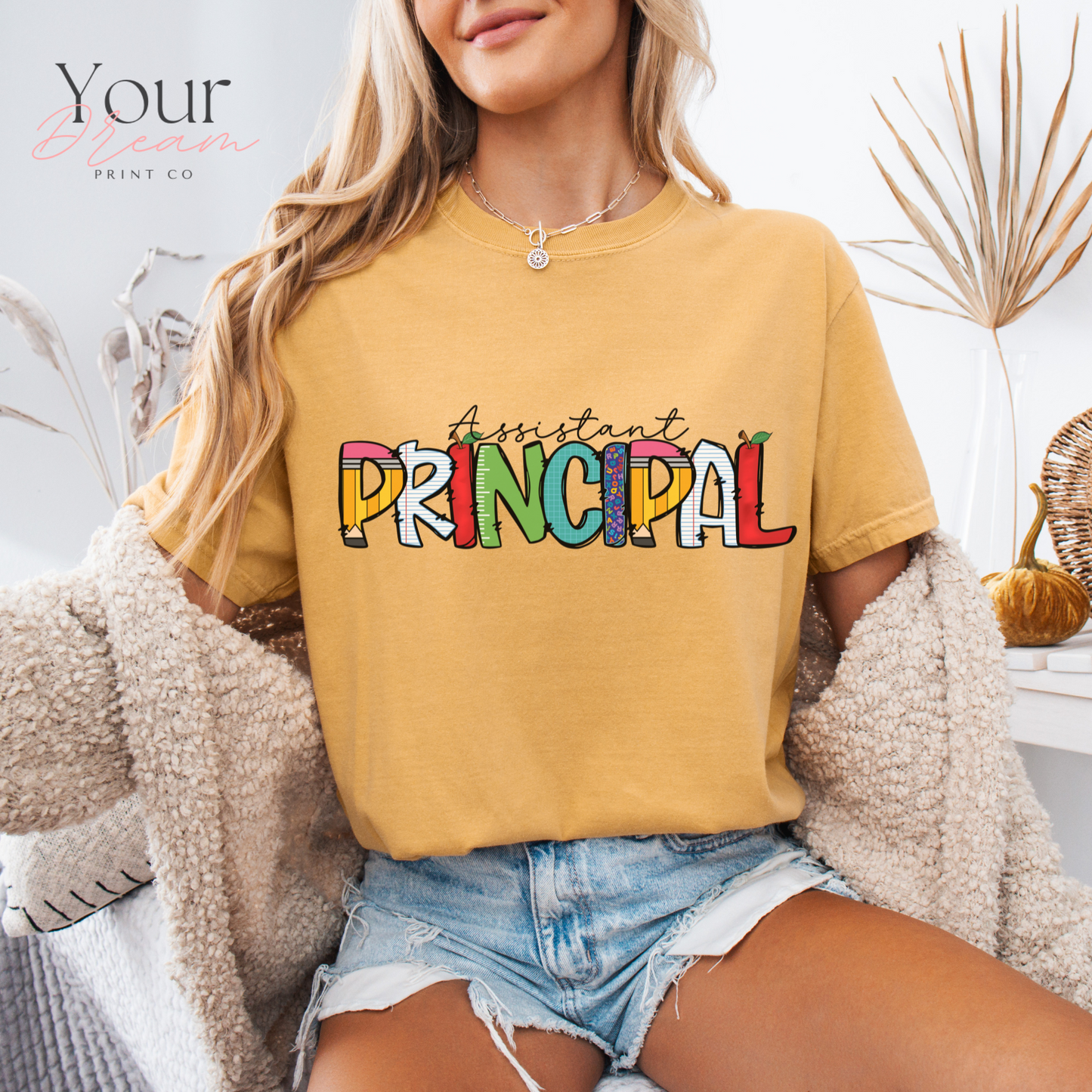 Principal T-shirt, Principal Shirt, Teacher's Day Gift