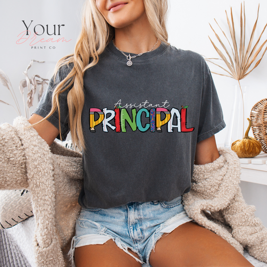 Assistant Principal T-shirt, Principal Shirt, Teacher's Day Gift,Assistant Principal Gift, Principal Shirt, Best Teacher Shirt, Back to School Shirt